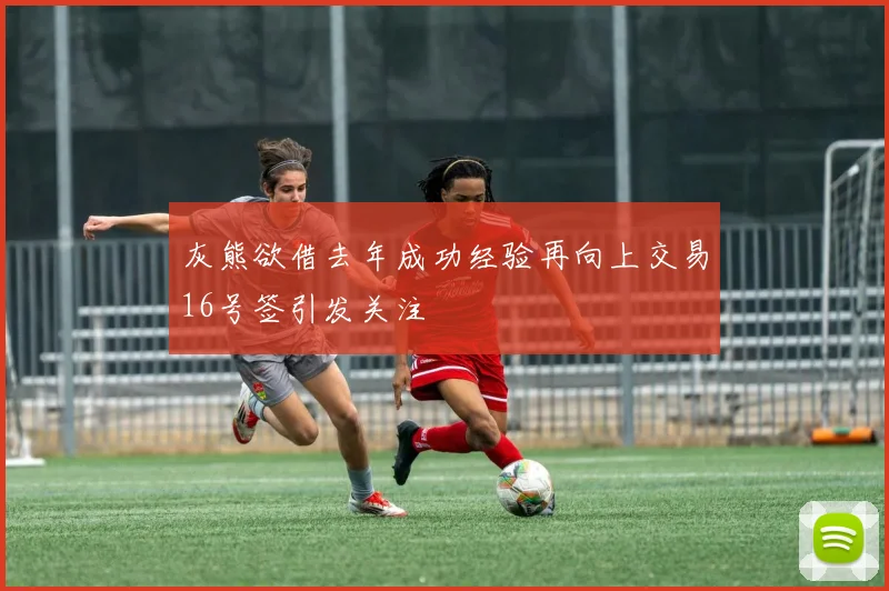 灰熊欲借去年成功经验再向上交易16号签引发关注
