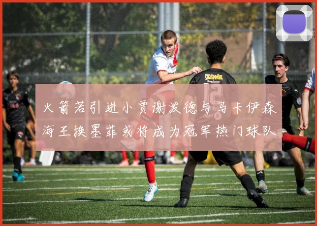 火箭若引进小贾谢泼德与马卡伊森海王换墨菲或将成为冠军热门球队