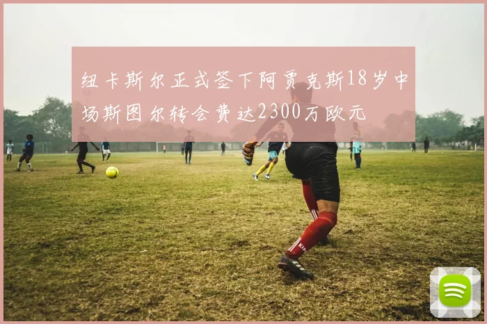 纽卡斯尔正式签下阿贾克斯18岁中场斯图尔转会费达2300万欧元